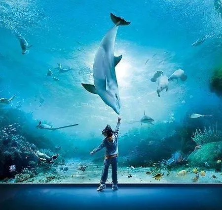 Oceania Génova